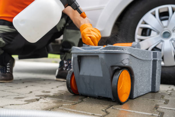 Reliable Collinwood, TN Tree Removal Solutions